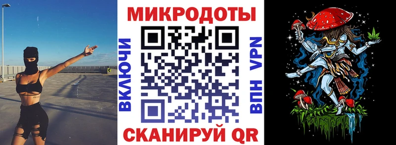 где купить наркотик  Сокол  Галлюциногенные грибы Cubensis 